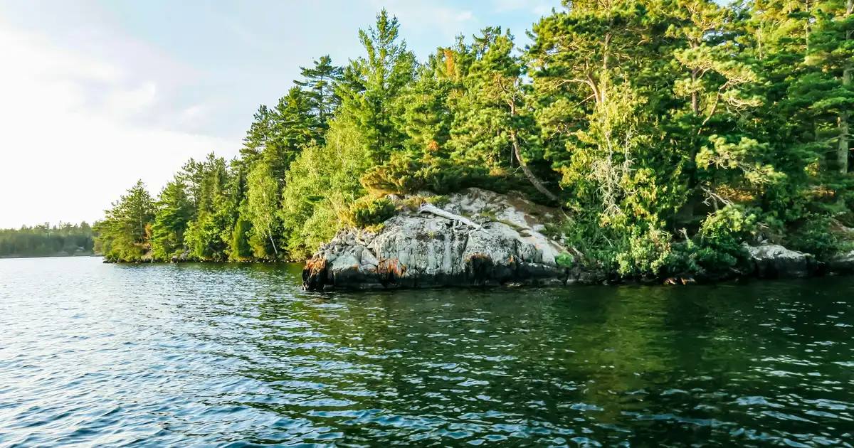 A classic Ontario cottage on a rocky shoreline surrounded by pine trees on a sunny summer day